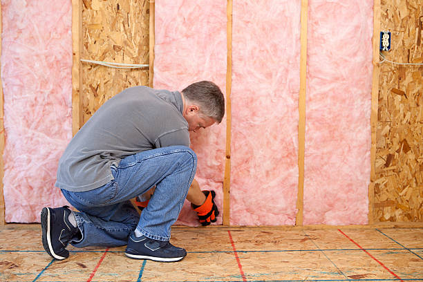 Types of Insulation We Offer in Picayune, MS